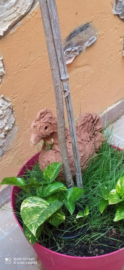 סירקוזה Come A Casa מראה חיצוני תמונה